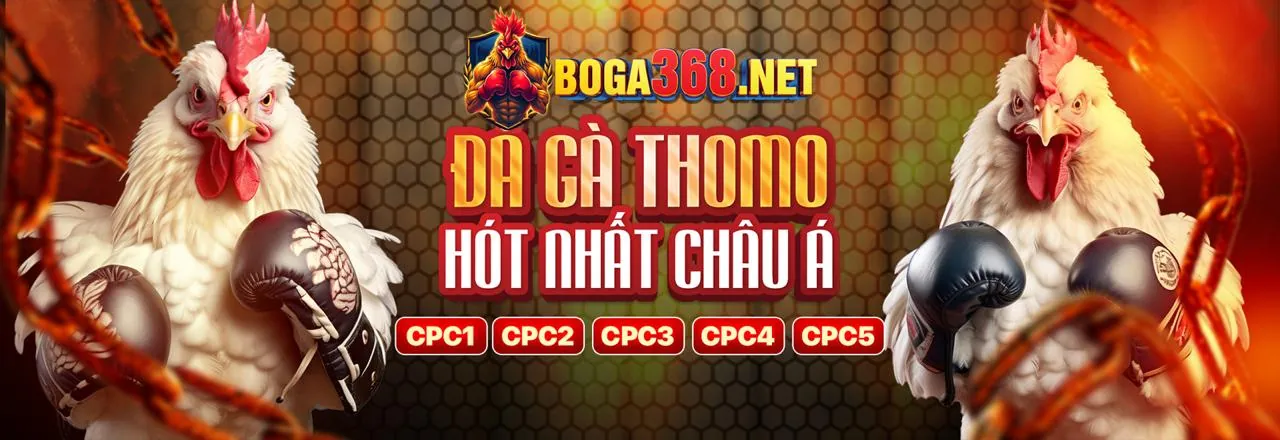 Khái niệm Cookie và luồng dữ liệu