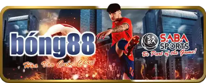 Hệ thống bảo mật Wyn88